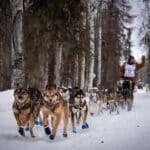 Lauro Eklund Iditarod Start