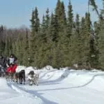2021 Iditarod Aurora with Race Checkpoint Fly-Out