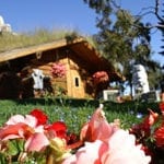 log cabin visitors center