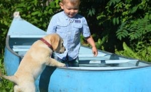 puppy and kid playing