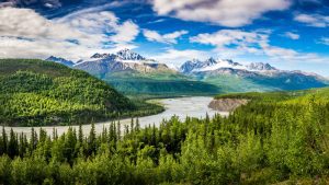 Salmon Berry Travel & Tours presenting a tour in Alaska