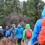 Salmon Berry Travel & Tours